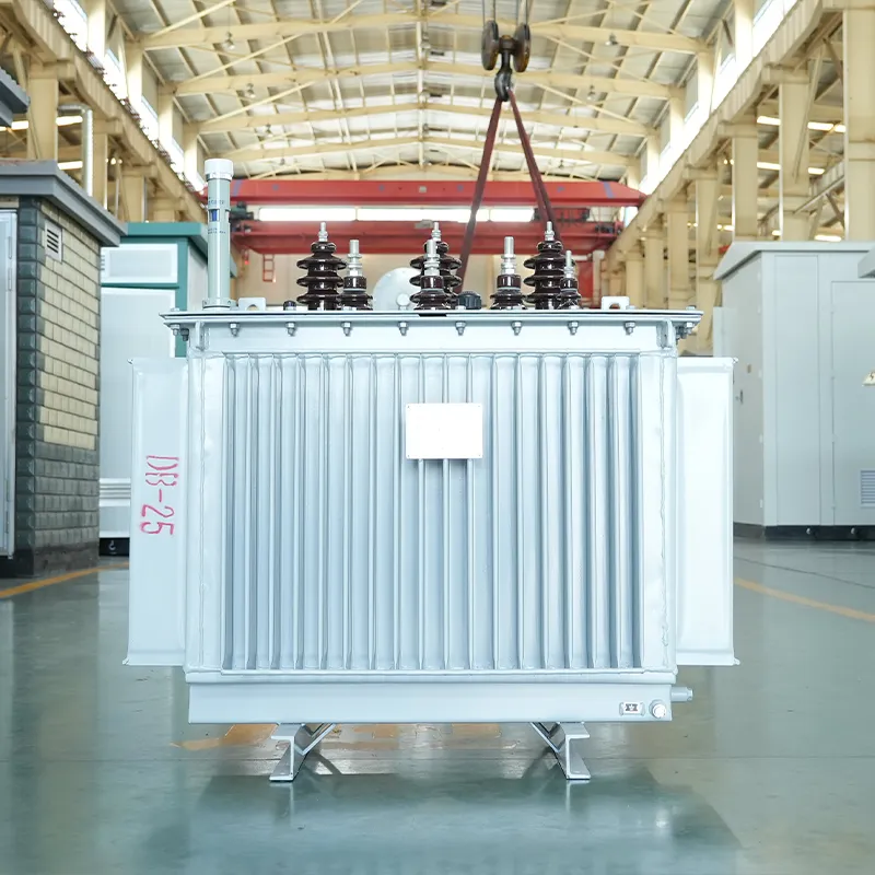 Oil-Immersed Power Transformer
